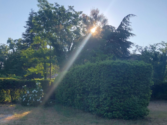 image6-1-aspect-ratio-674-506